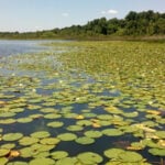 Edward Medard Reservoir thumbnail