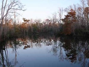 Escambia River Fishing