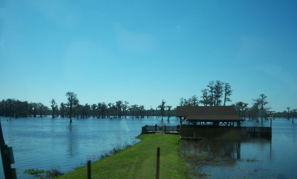 Cypress Lake | Florida Fishing Lakes | Osceola County