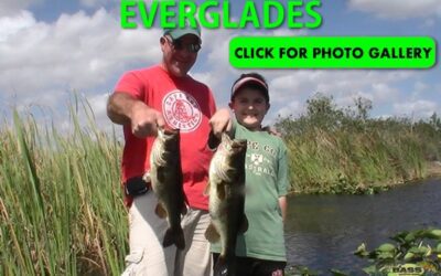 The Everglades Pictures