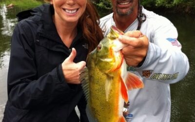 Peacock Bass Big City Fishing