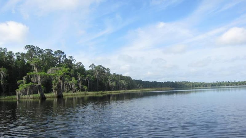 Palestine Lake photo