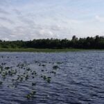 Ocala Forest Lakes thumbnail