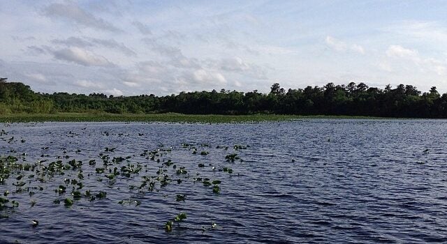 Ocala Forest Lakes photo