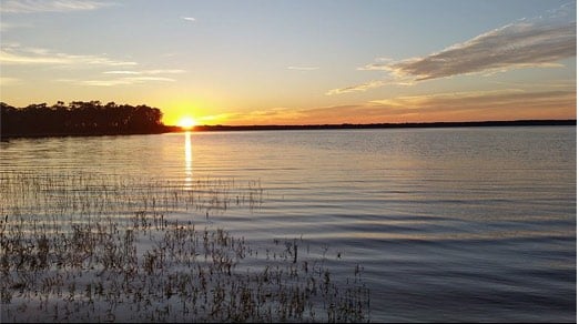 Ocala Forest Lakes photo
