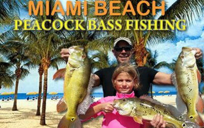 Bass Fishing Miami