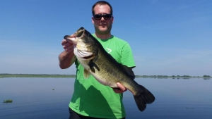 We caught over 200 bass, big fish!