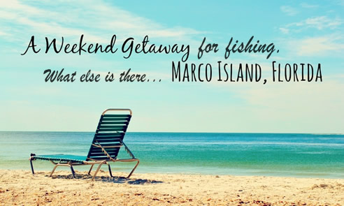 Marco Island Fishing Trips