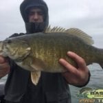 Lake Erie Smallmouth on fire in April