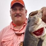 Stick Marsh thumbnail