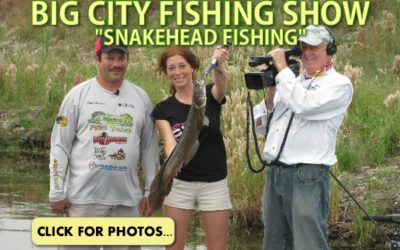 Snakehead Big City Fishing Show
