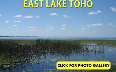 East Lake Toho Pictures
