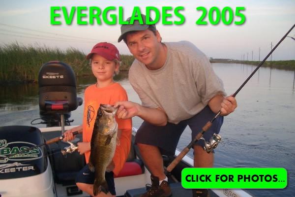 2005 Florida Everglades Pictures