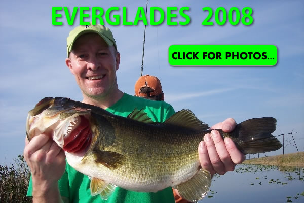 2008 Florida Everglades Pictures