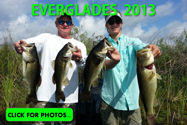 2013 Florida Everglades Pictures