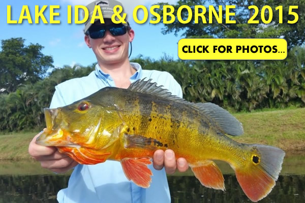 2015 Lake Ida Peacock Bass Pictures