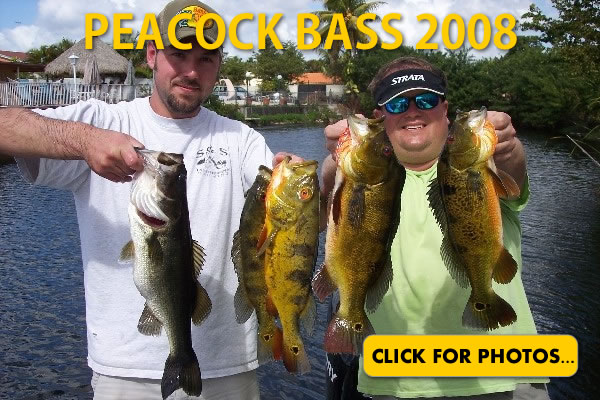 2008 Peacock Bass Pictures