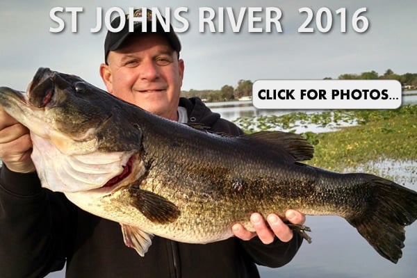 2016 St Johns River Pictures