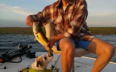 Fishing Rogers, Ar
