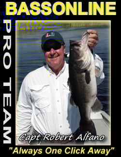 Palm Beach Fishing Guide - Capt Mark Shepard