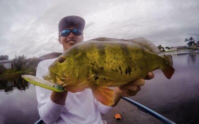 Peacock Bass Fishing Trip