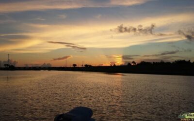 Okeechobee Bass Fishing Adventure