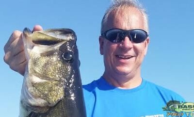 Big Numbers of Largemouth Bass In Lake Toho