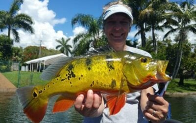 Catching Peacock Bass In Miami With Capt Robert Miley