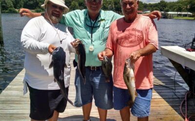 Fishing Bass And Brim On The St Johns River