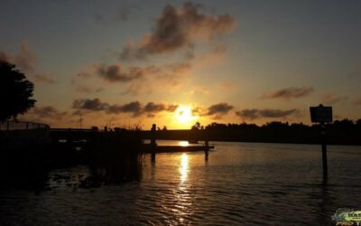 Incredible Bass Fishing Trip On Lake Okeechobee