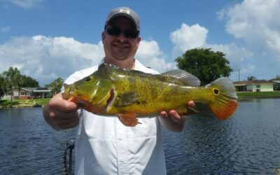 Lake Ida Peacock Bass Fishing Guide Capt Robert