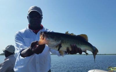 Largemouth Bass 8.4 Pounds Caught On Toho