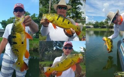The Falls Canal System Peacock Bass Fishing