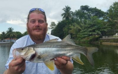 Peacock Bass And Snook Caught Fishing in South Florida