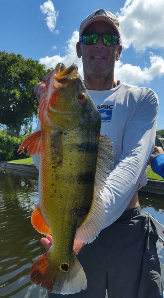 Peacock Bass Fishing Trip In Palm Beach