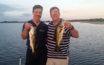What Will They Reel In Next