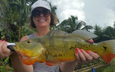 Peacock Bass Are Deep Down At The Blue Lagoon