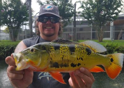 Caught Over 25 Peacock Bass At the Falls