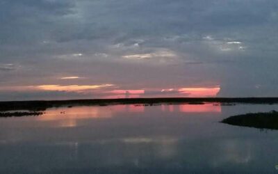Tour of Celebration Leads To Lake Okeechobee