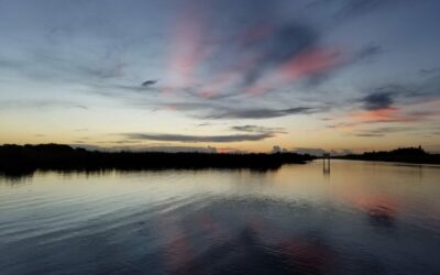 Gainesville Fishing Guides