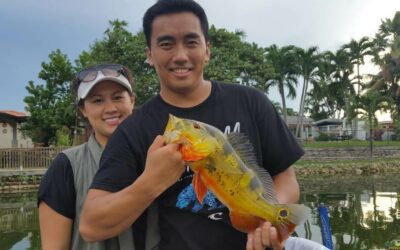 Bucket List Catch A Peacock Bass