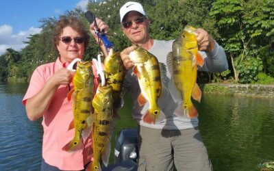 Miami Peacock Bass Fishing At The Blue Lagoon