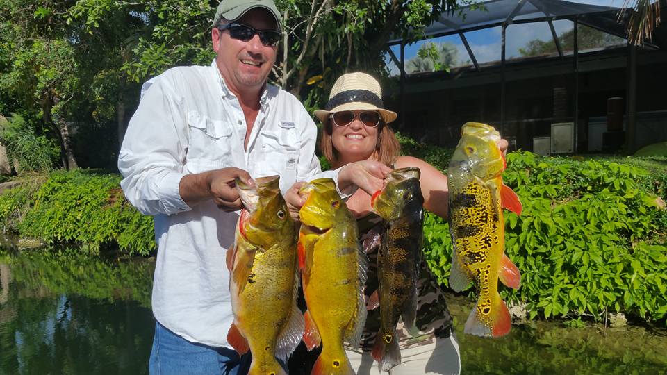 Peacock Bass Fishing in Miami Florida