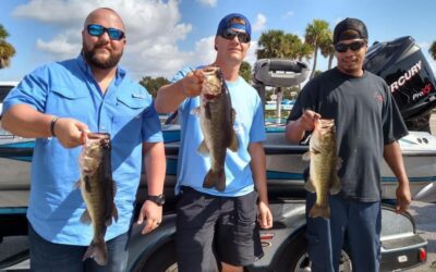 Bass Fishing Out Of Okeechobee City