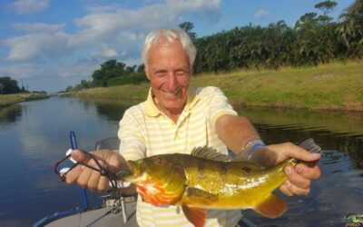 Peacock Bass Fishing on Lake Ida