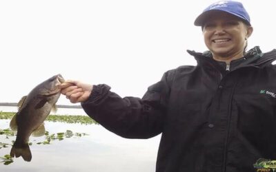Florida Fishing Adventures with Capt Steve