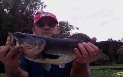 Catching Bass On The St Johns River
