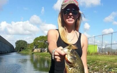 Peacock Bass Fishing With Capt Kirk Osborne