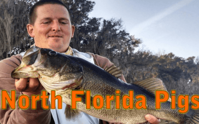 Searching For Quality Rodman Reservoir North Florida Largemouth Bass Fishing