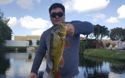 Blue Lagoon Miami Park Peacock Bass Fishing
